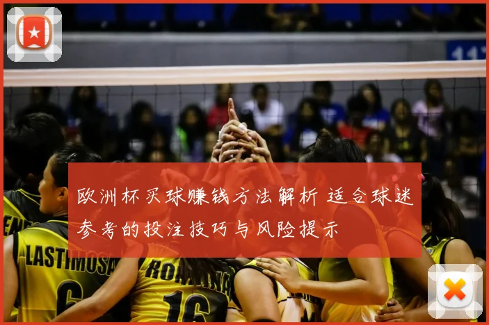 欧洲杯买球赚钱方法解析 适合球迷参考的投注技巧与风险提示