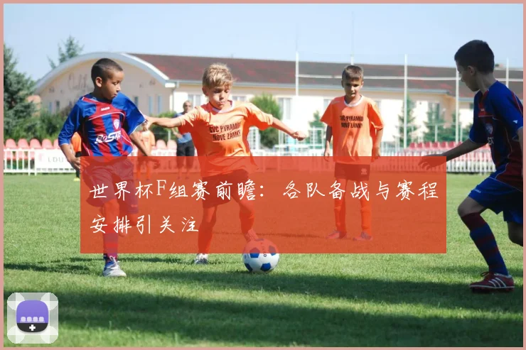 世界杯F组赛前瞻：各队备战与赛程安排引关注