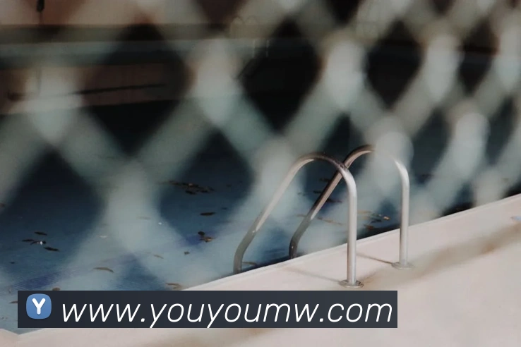 App Interface Preview