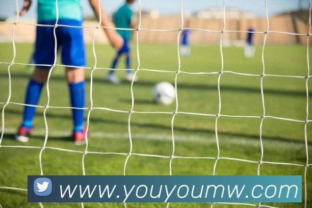 买球官方APP 封面图